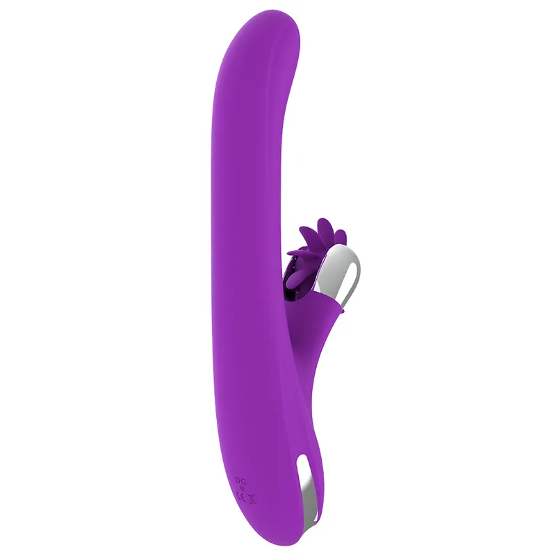 Fun Function Bunny Funny Rotation 5