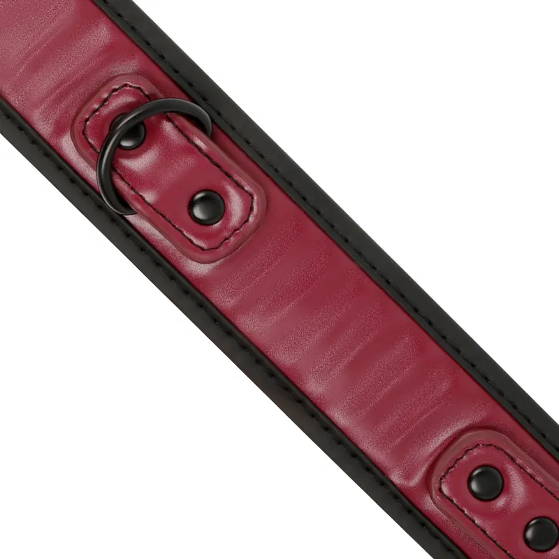 Fetish Submissive Dark Room Collar With Leash - Obojok 3