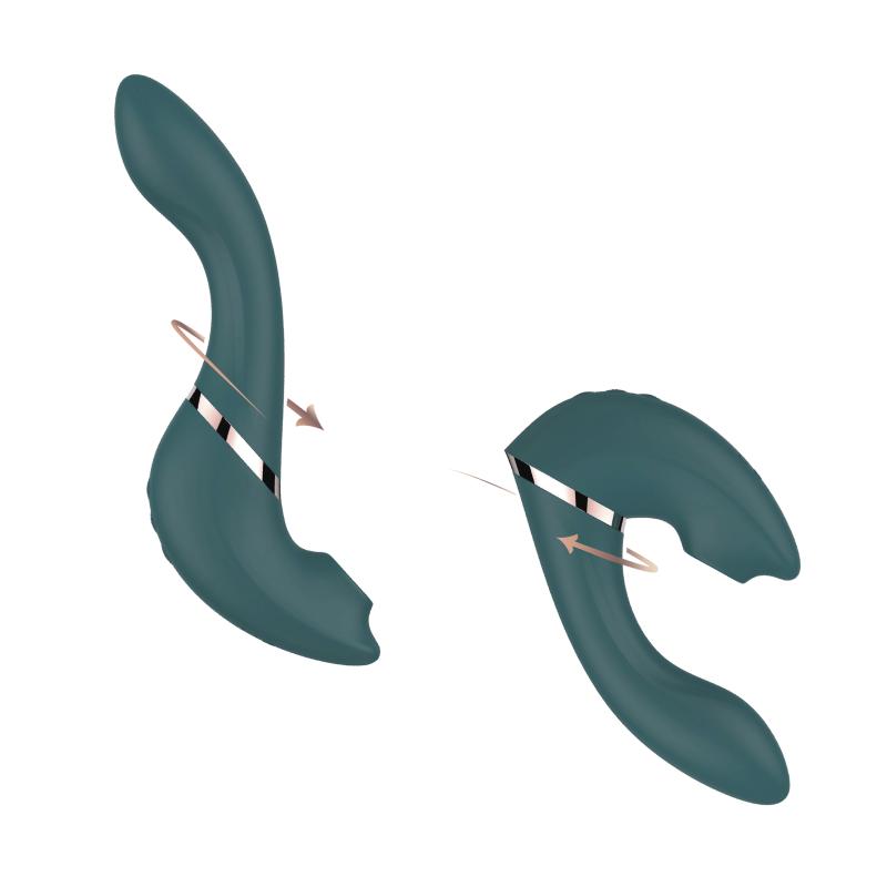 Swan - The Monarch Swan Transforms Teal 11