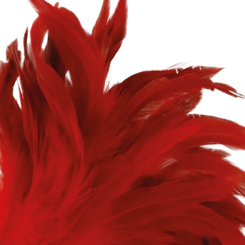 Darkness Red Feather24cm - Šteklítko
