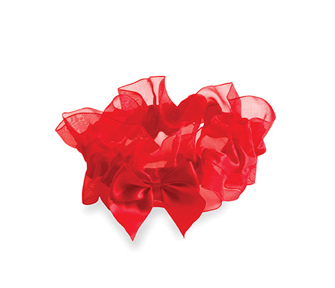 Bijoux Indiscrets - Happily Ever After Bridal Box Red Label 4