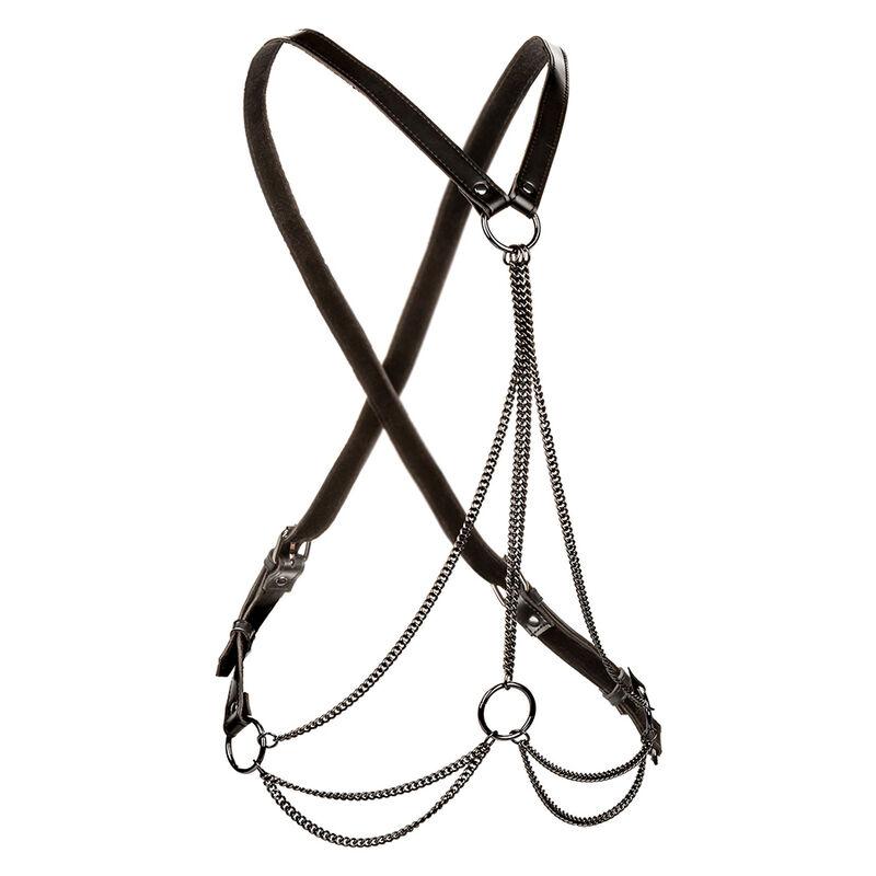 Calexotics - Euphoria Multichain Harness Premium 1