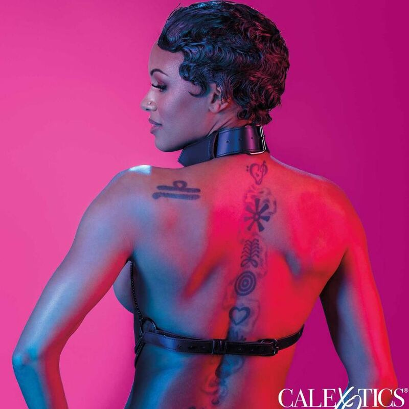 Calexotics - euphoria multi chain collar harness 5