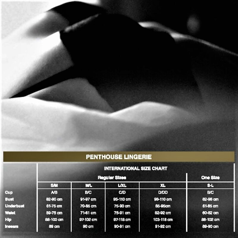 Penthouse - midnight visit teddy s/m/l 2