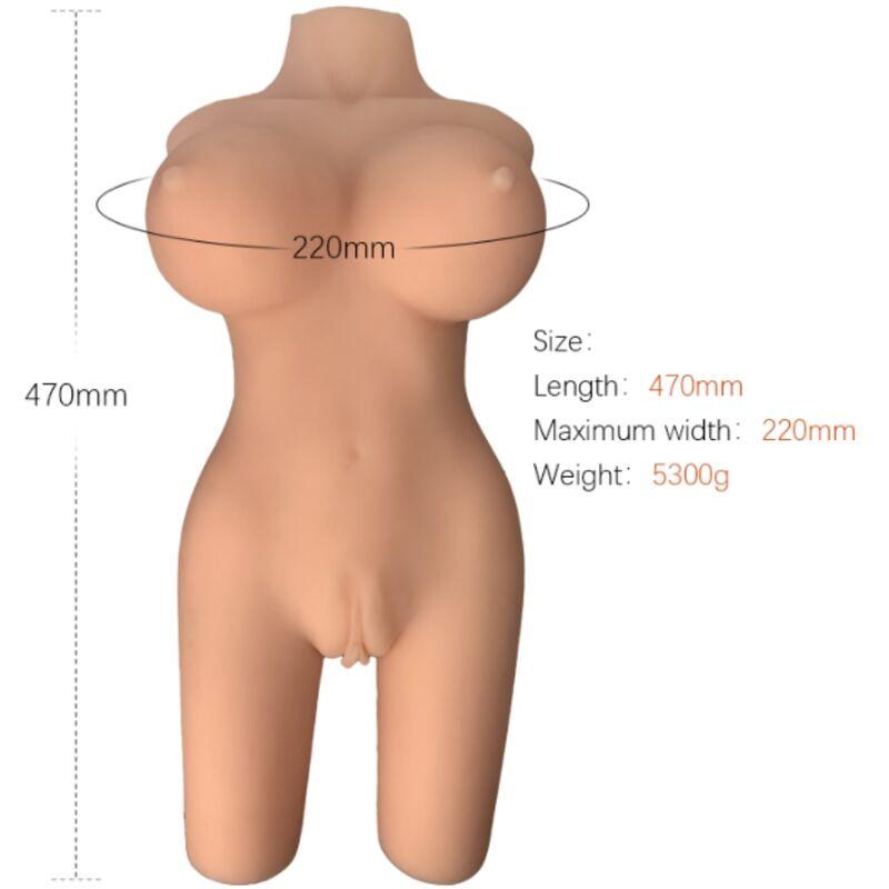 Armony - Realistic Female Torso Model 6 1