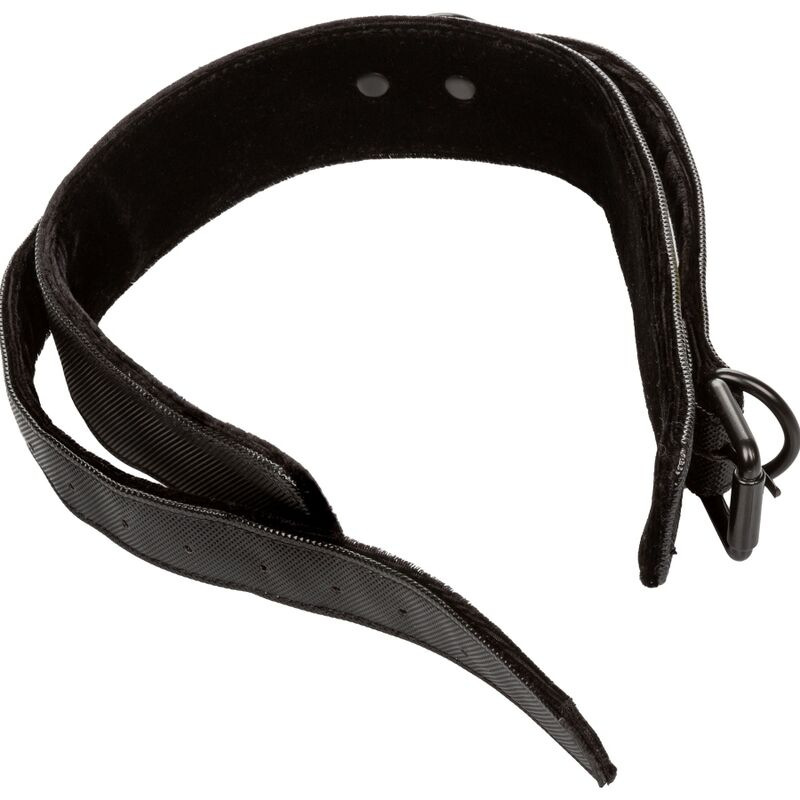Calexotics - boundless collar and leash 3