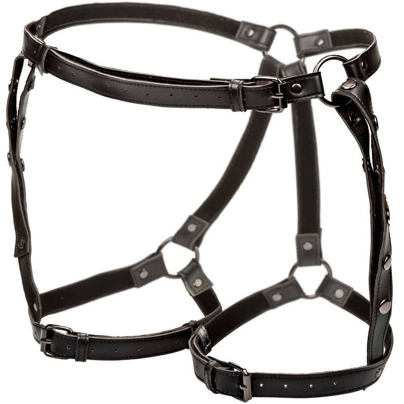 Calexotics - euphoria plus size riding thigh harness 3