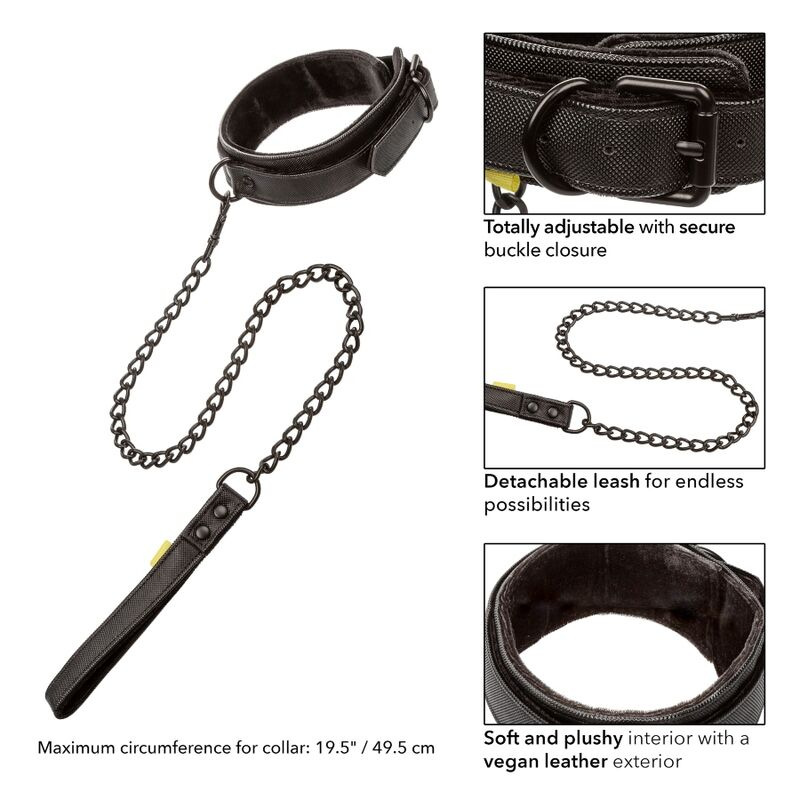 Calexotics - boundless collar and leash 1
