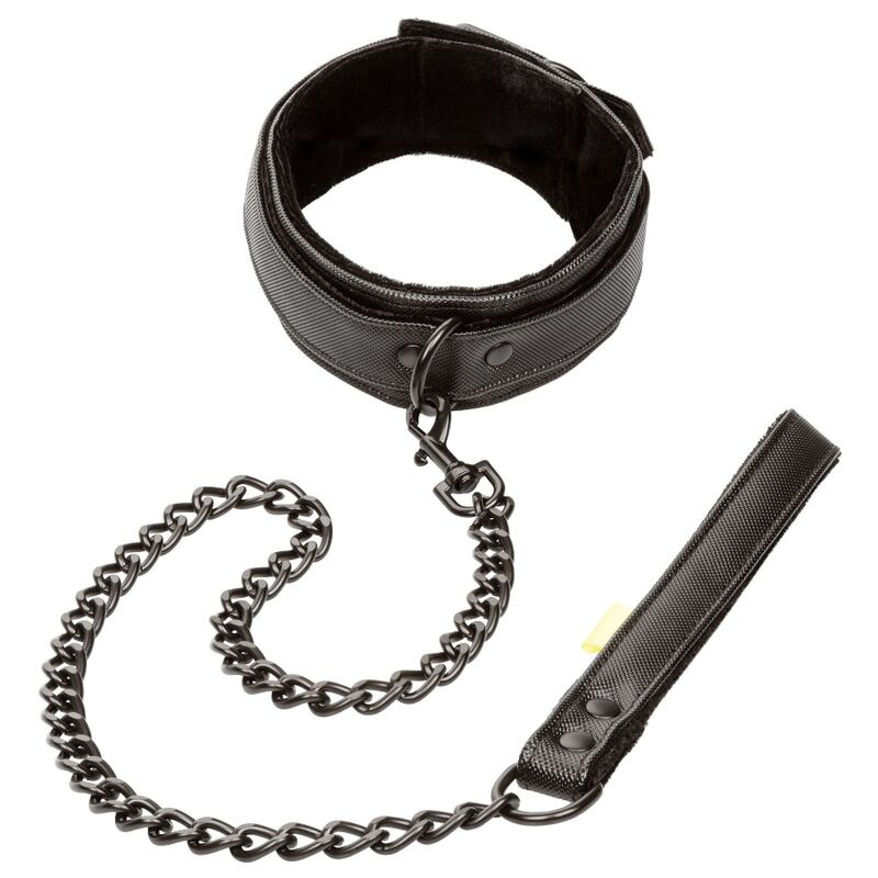 Calexotics - boundless collar and leash 5