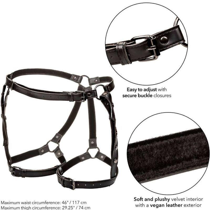 Calexotics - euphoria plus size riding thigh harness 4