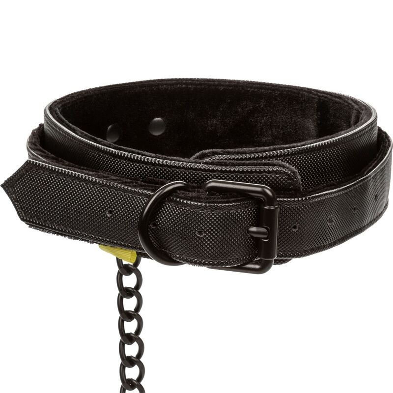 Calexotics - boundless collar and leash 4