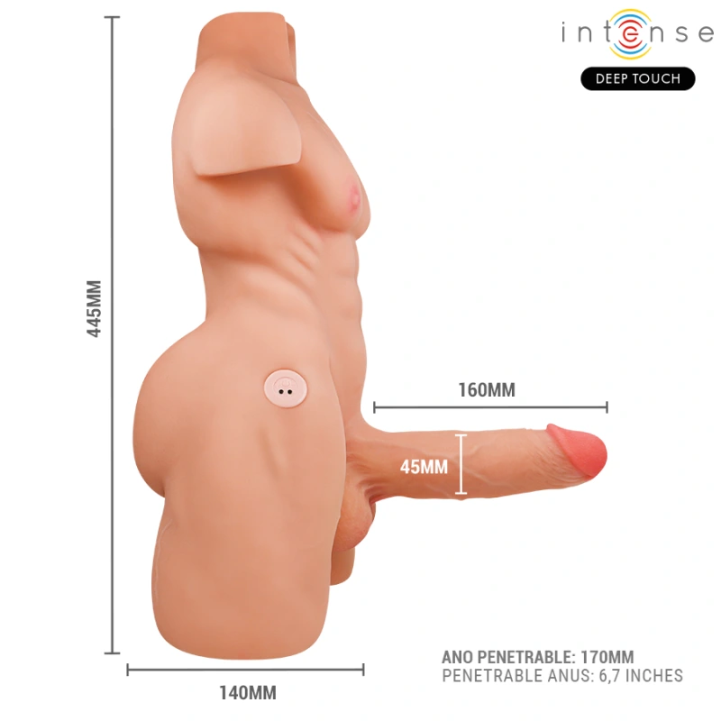 Intense deep touch - marty torso with anus and realistic dildo with pushing and vibration 5