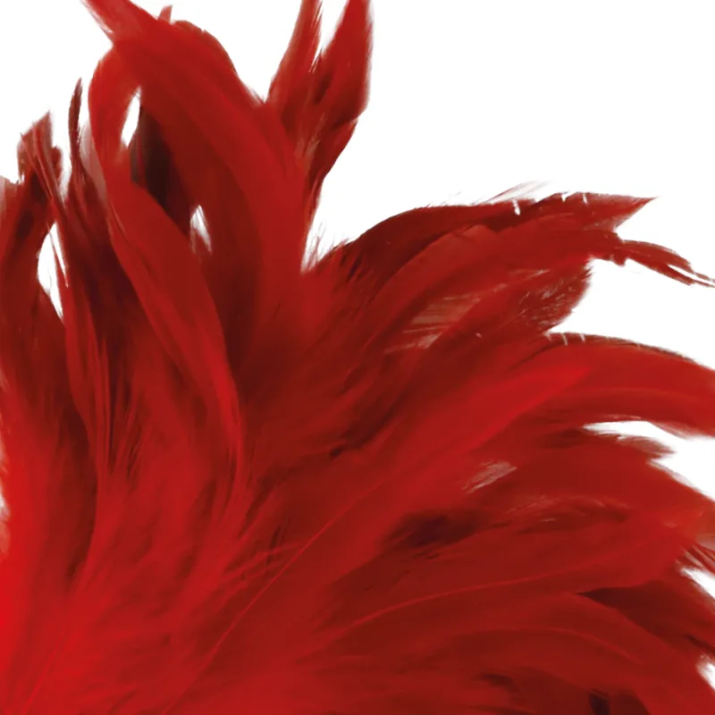 Darkness Red Feather24cm - Šteklítko 1