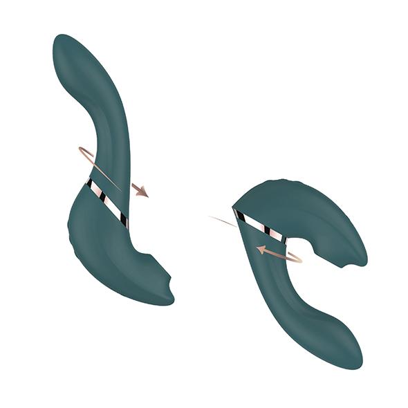 Swan - The Monarch Swan Transforms Teal 16