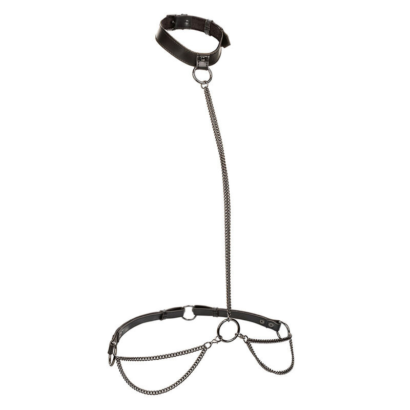 Calexotics - euphoria chain halter collar & leash 1