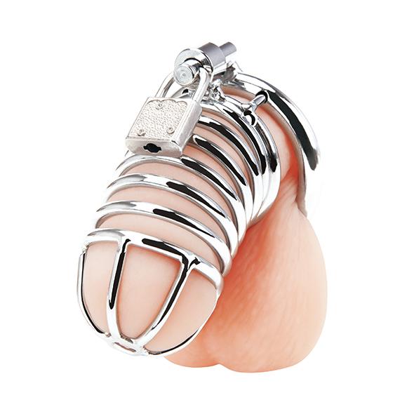 Blueline - Deluxe Chastity Cage Silver