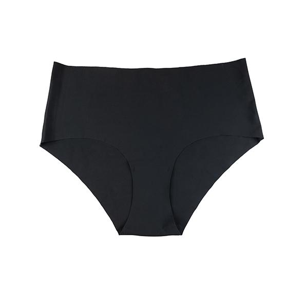 Bye Bra - Invisible High Brief Multi Xl 11