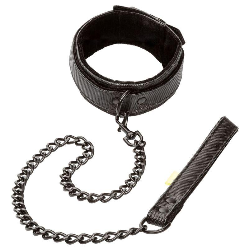Calex Boundless Collar And Leash 5
