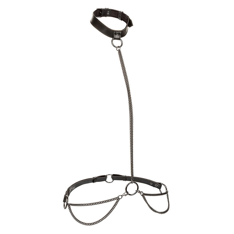 Calexotics - euphoria chain halter collar & leash plus size 1