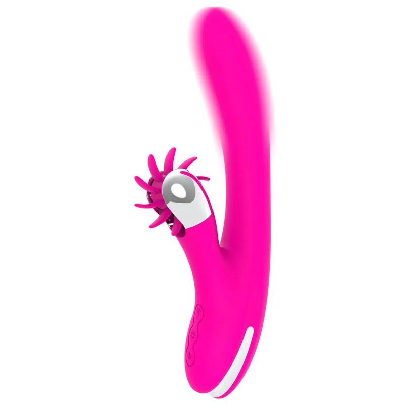 Diversia Bunny Vibrating 24 Cm 1