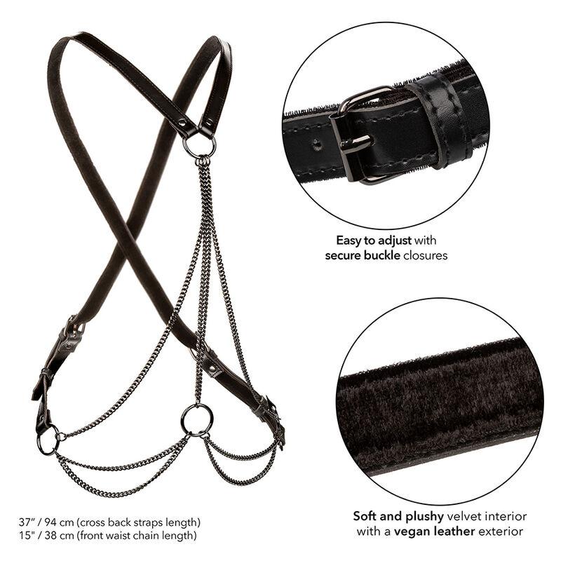 Calexotics - Euphoria Multichain Harness Premium 2