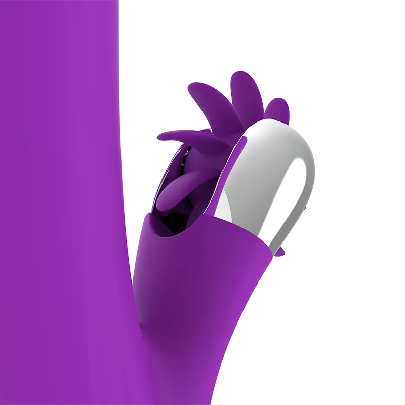 Fun Function Bunny Funny Rotation 6