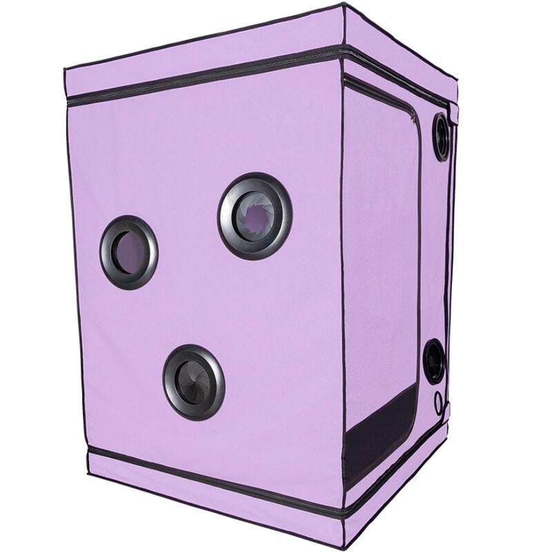 Secret dome - kink club cabin scandale purple