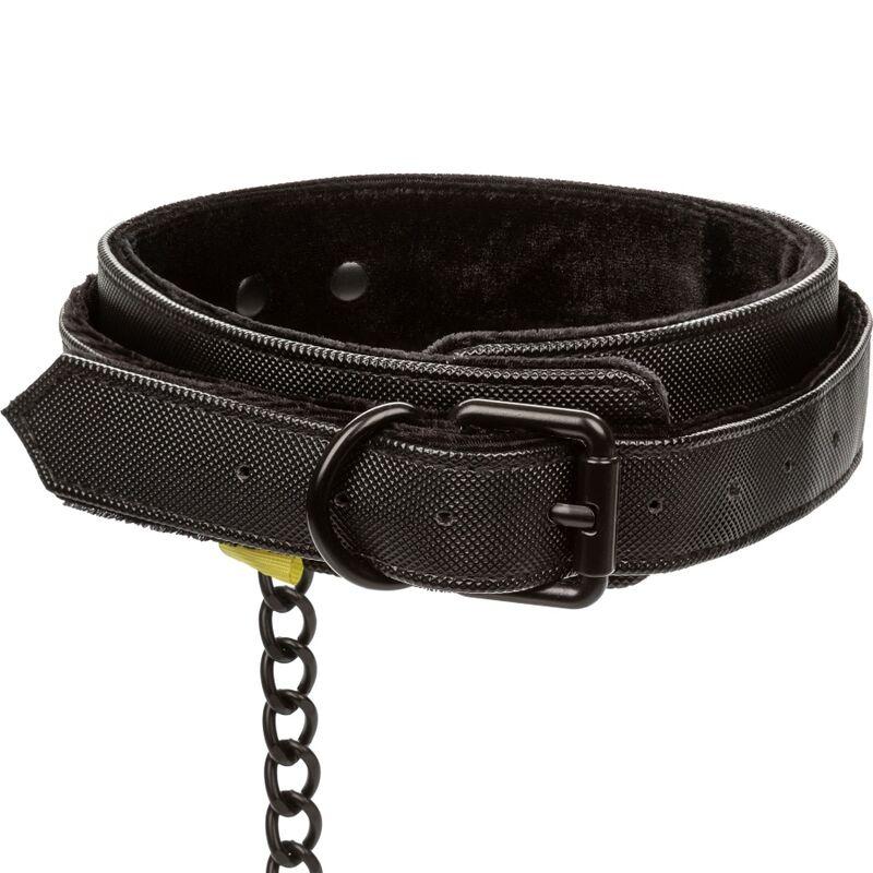 Calex Boundless Collar And Leash