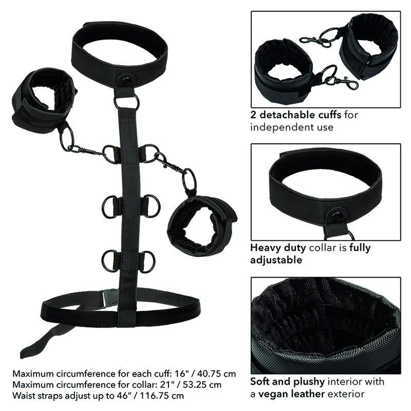 California Exotics - Boundless Collar Body Restraint 5