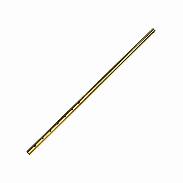 Lockink - Adjustable Anal Hook Gold 10