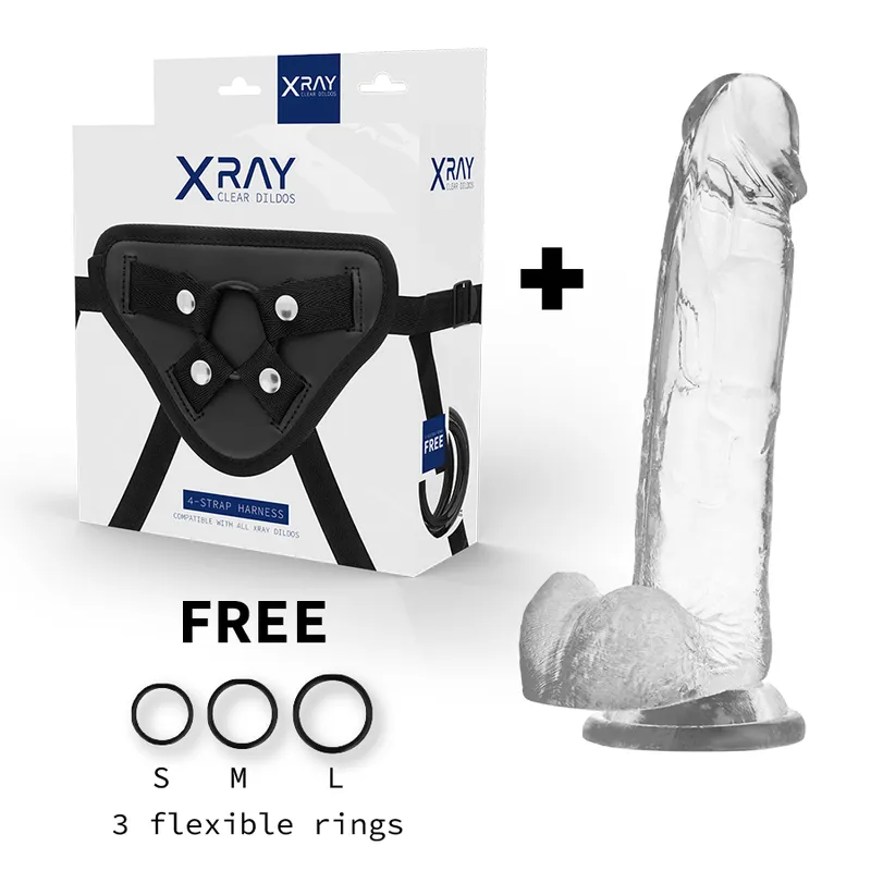 Xray Harness + Cock With Balls  22cm X 4.6cm - Pripínací Penis