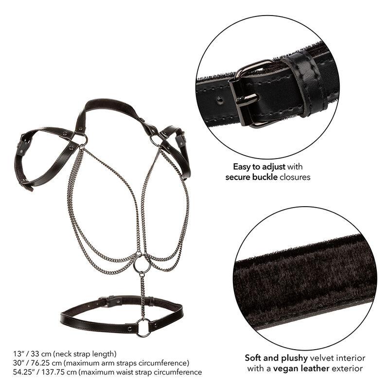 Calexotics - Euphoria Multichain Halter Harness Premium Plus Size 2