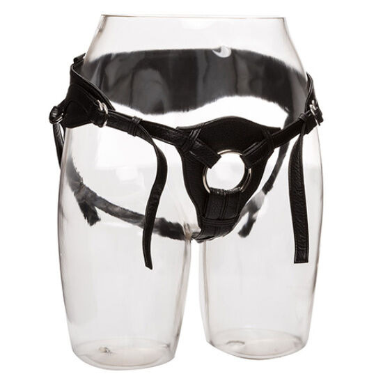 Calexotics - here royal harness the queen one size