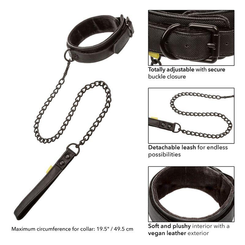 Calex Boundless Collar And Leash 1