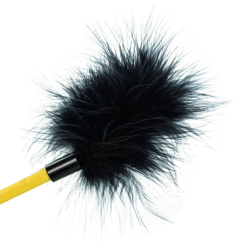 Calexotics - boundless feather crop 3