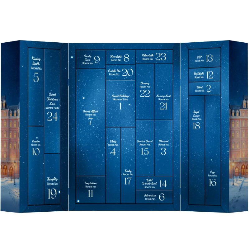 Satisfyer - premium advent calendar 2025 3