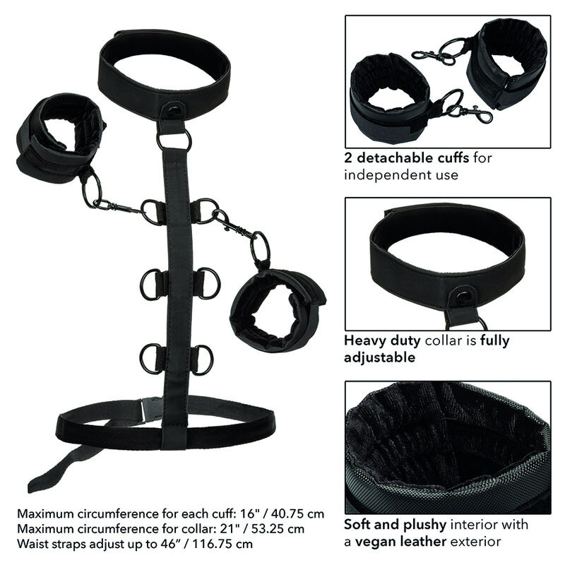 Calexotics - boundless collar body restraint 5