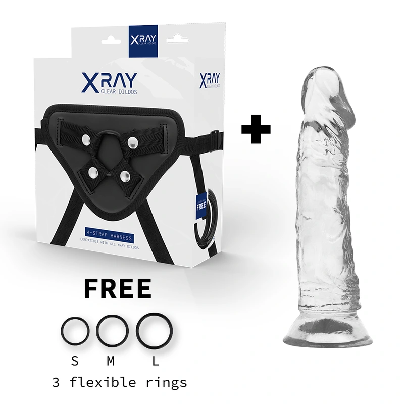 X ray - harness + clear cock 19 cm -o- 4 cm 1
