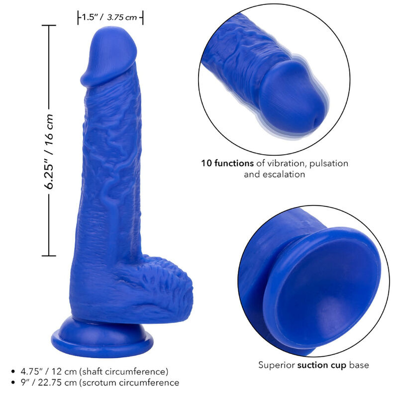 Calexotics - admiral sailor realistic dildo vibrator blue 3