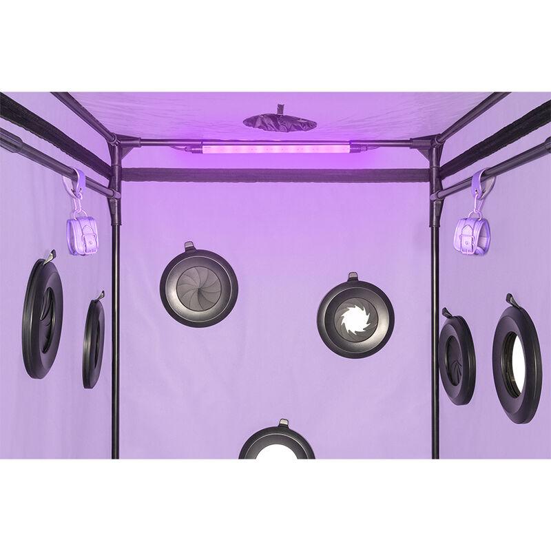 Secret dome - kink club cabin scandale purple 18