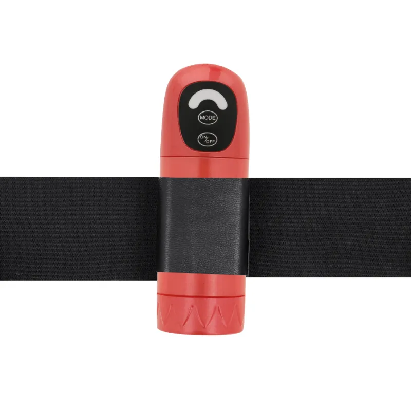 Harness Attraction Daniel With Vibration And Rotation 18 X 3 3