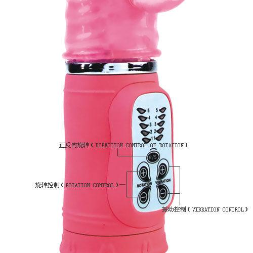Cute Passion Bunny Rampante 10f 27cm 2