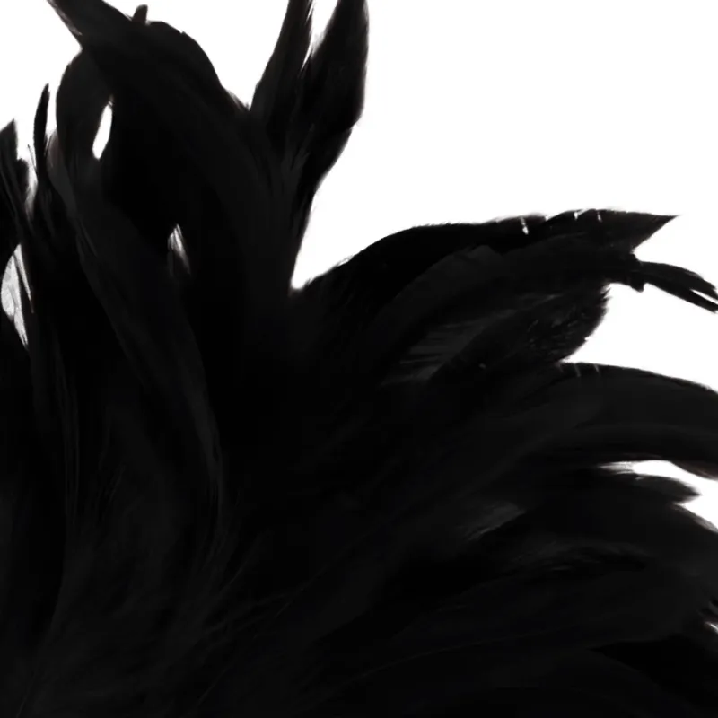 Darkness Black Feather  Lux 1