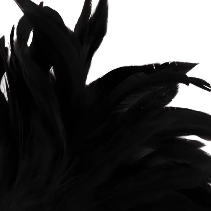 Darkness Black Feather  Lux