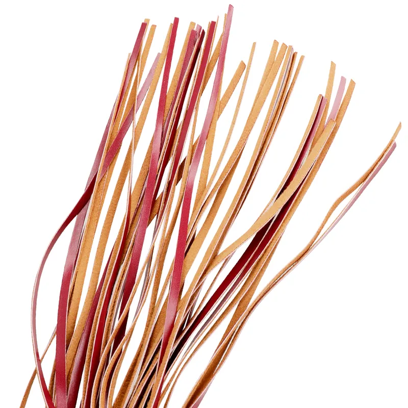 Fetish Submissive Dark Room  Flogger Vegan Leather - Bič 3