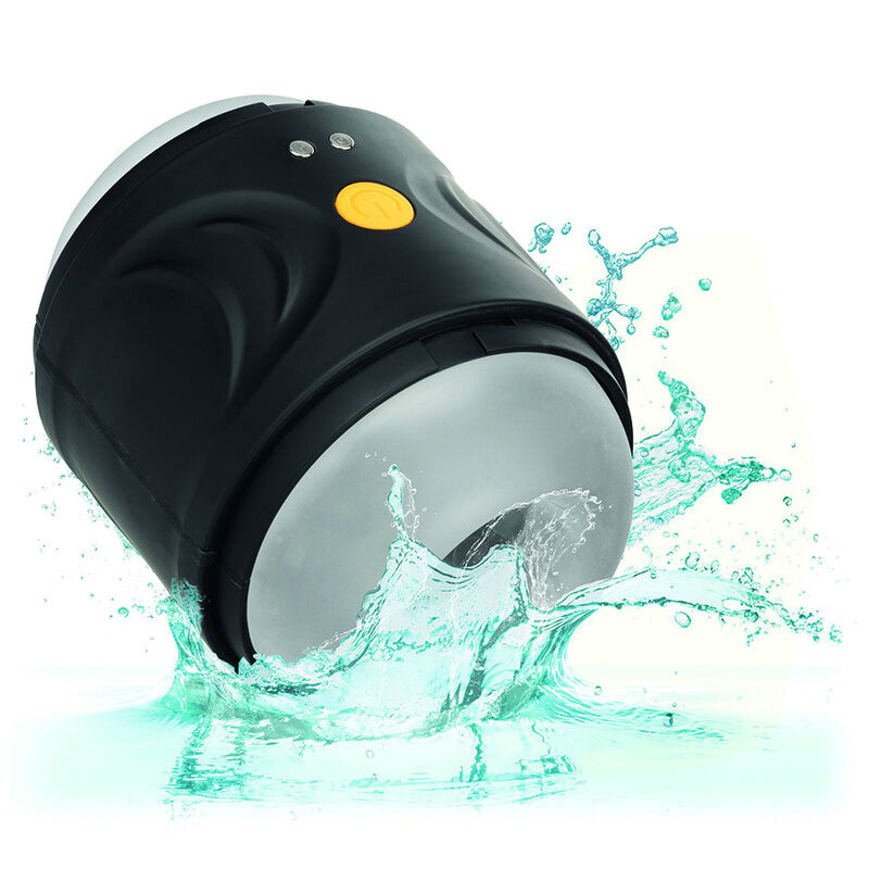 Calexotics - boundless dual motor stroker 7