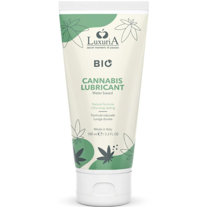 CBD Báza